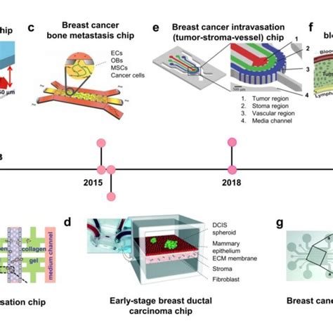 rfid chip tumor|chip technology breast cancer.